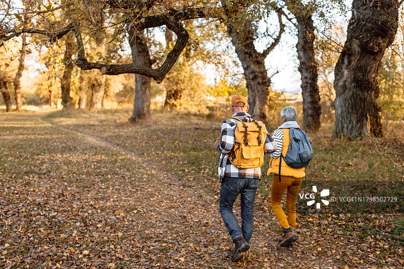 乡间徒步旅行的老年夫妇背影图片素材