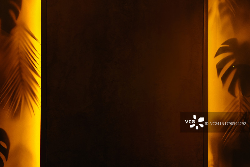 黄色背光玻璃后面的热带叶子，留白，没有人，抽象背景图片素材