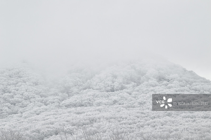 山上的霜图片素材