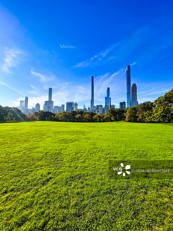 美国纽约绵羊草地和中城塔楼的绿地图片素材