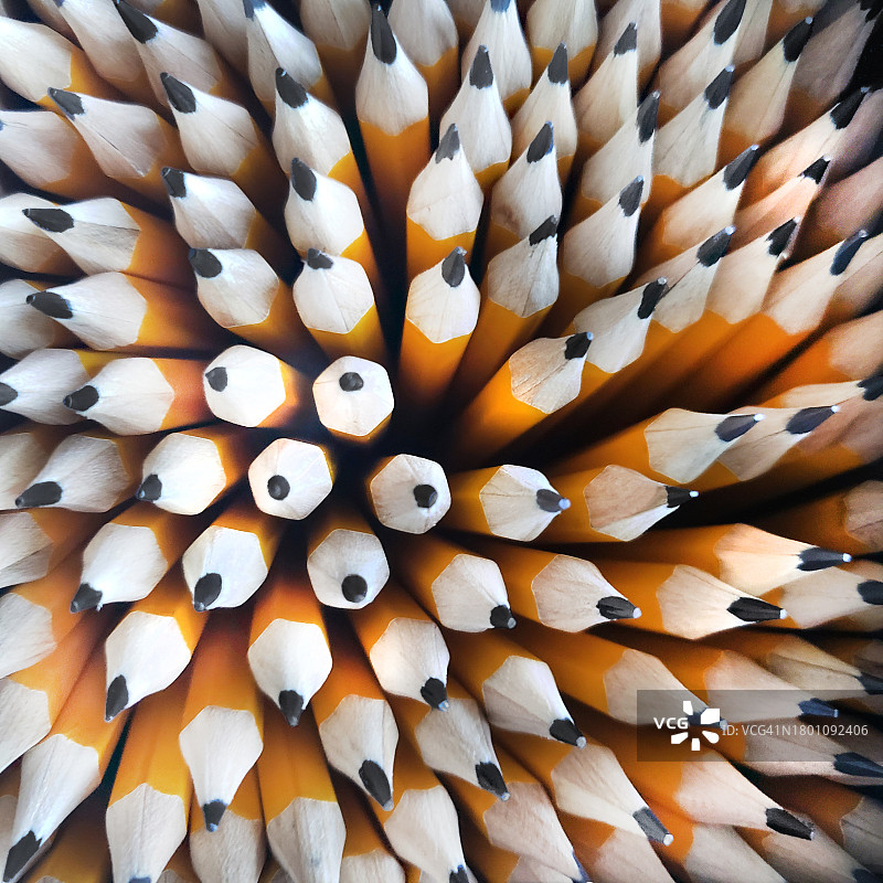 2号铅笔森林图片素材