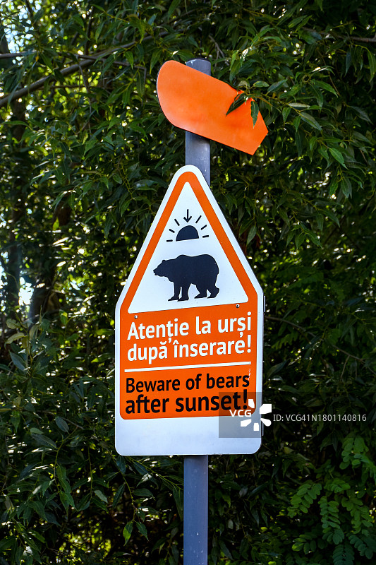 罗马尼亚特兰西瓦尼亚的熊警告标志图片素材