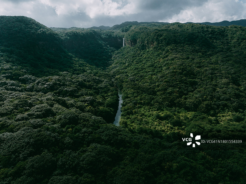 冲绳县西表岛热带雨林和瀑布图片素材