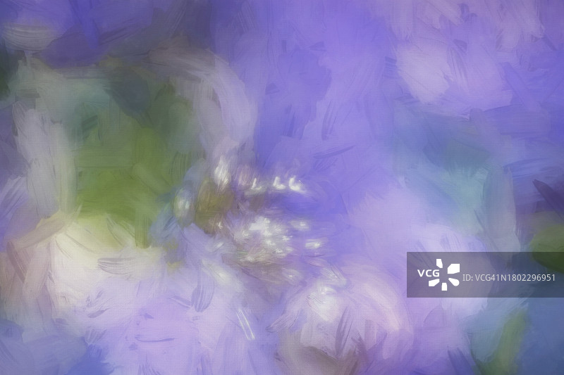 紫色蓝绿色抽象背景艺术花卉图片素材