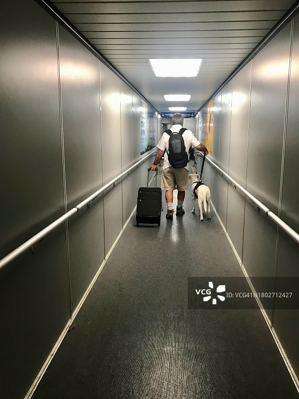 男人和导盲犬登上飞机图片素材