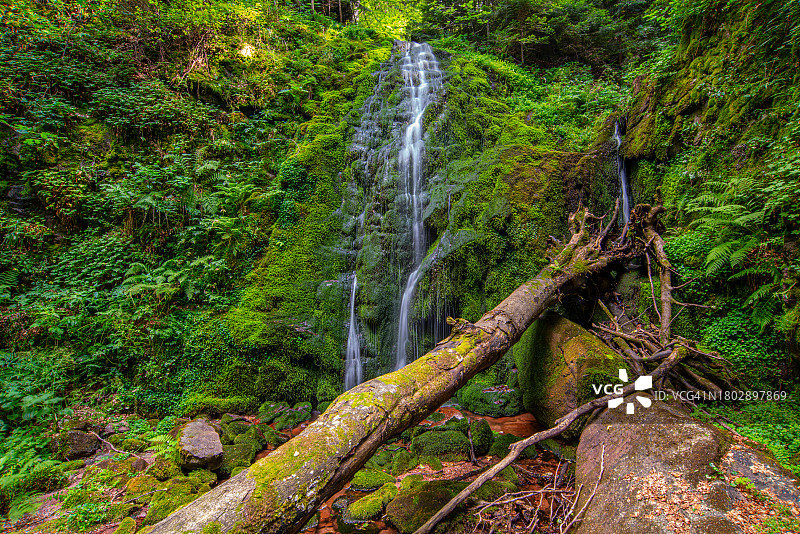 塞尔维亚Stara Planina山脉的迷人绿色瀑布图片素材
