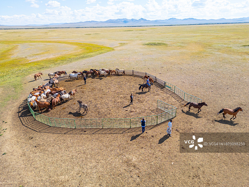 蒙古游牧民族牧马场景图片素材