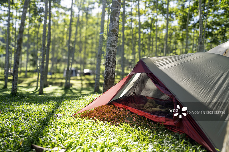 带有帐篷的森林营地图片素材