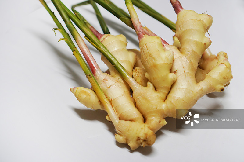 姜图片素材
