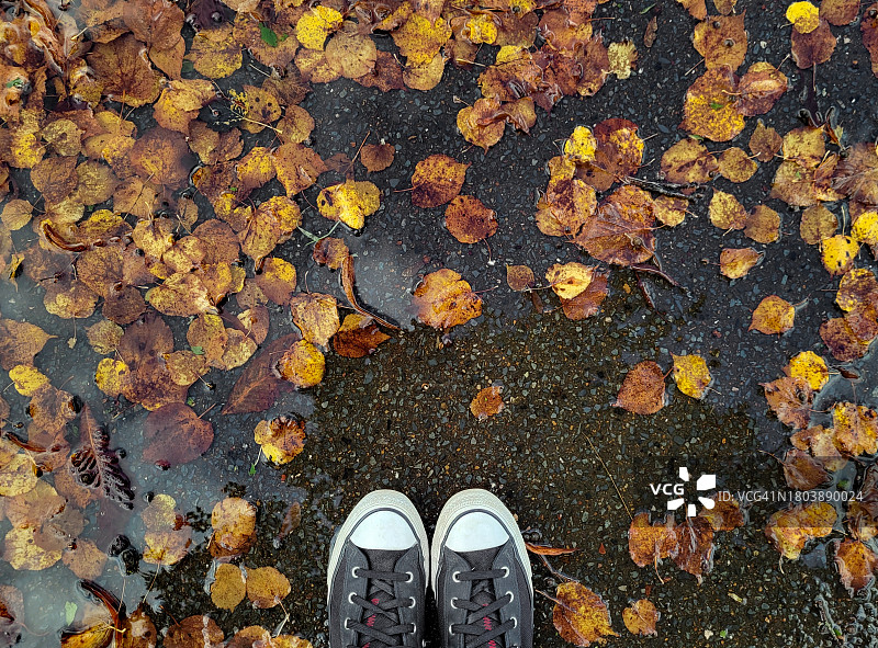 水坑中的步行鞋图片素材