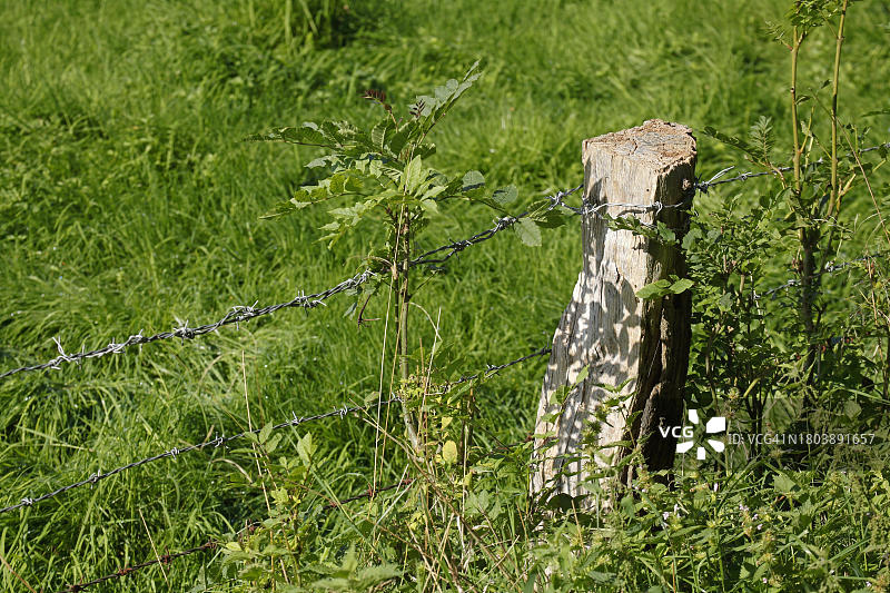 木栅栏柱、木栅栏、柳条栅栏、带刺铁丝网，德国图片素材