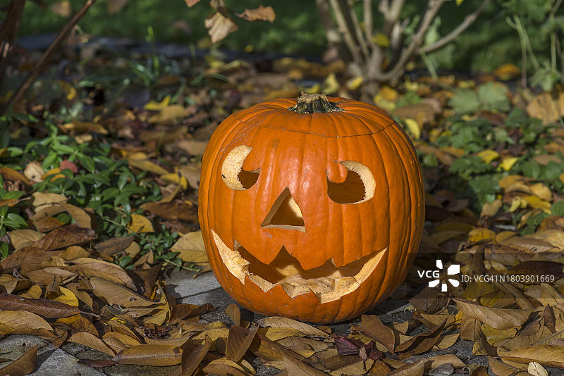 德国巴伐利亚，万圣节雕刻南瓜图片素材