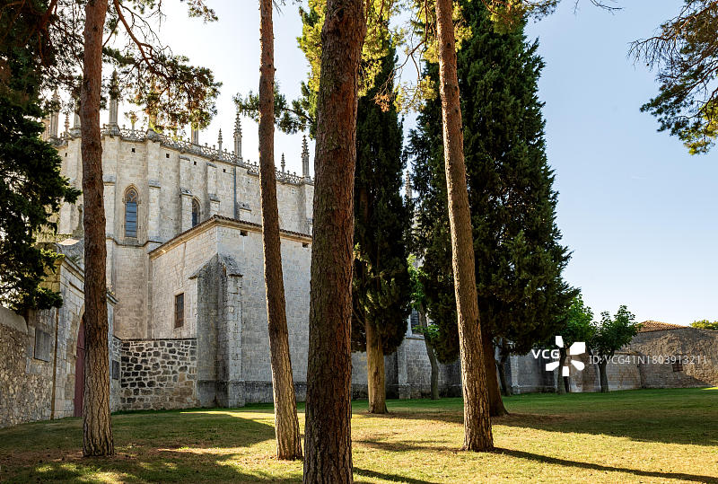 西班牙卡斯蒂利亚-莱昂布尔戈斯省富恩特斯布兰卡斯公园的米拉弗洛雷斯圣玛丽亚卡尔特会修道院图片素材