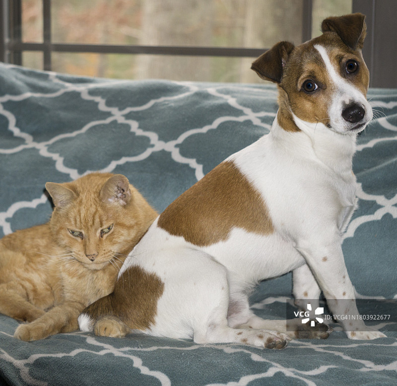 沙发上的午后图片素材