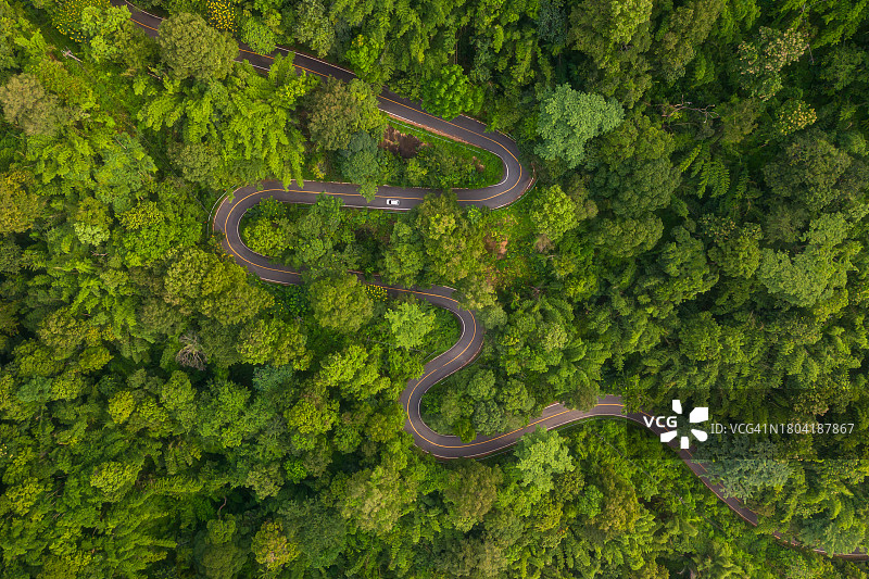 车辆行驶在田园诗般的绿色森林蜿蜒道路上图片素材