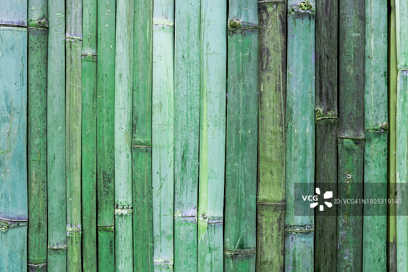 绿色竹子纹理墙面抽象背景图片素材