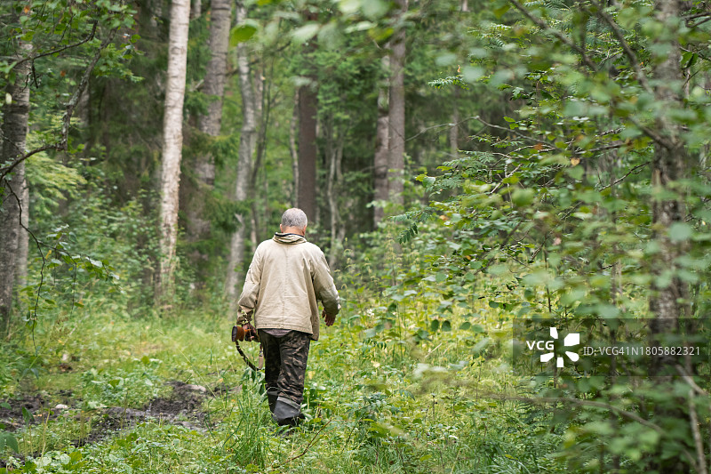 在森林中非法狩猎——男子携带猎枪穿过森林，盗猎图片素材