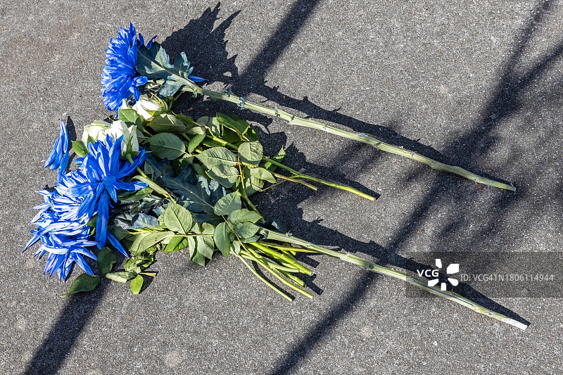 混凝土表面上两朵蓝色花朵图片素材
