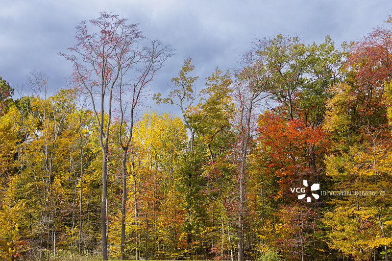 2023年10月22日，纽约橙堡图片素材