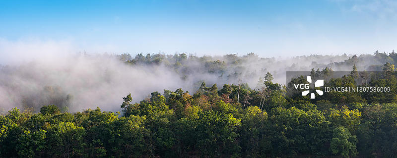 德国图林根施穆克山脉清晨混合森林全景，树梢从晨雾中升起，蓝天图片素材