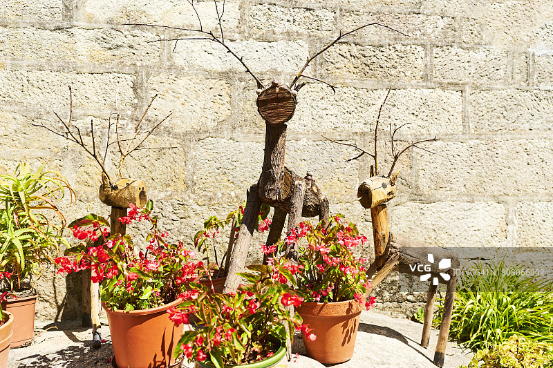房屋庭院花园中的装饰性木制动物，盆栽植物，前视图图片素材