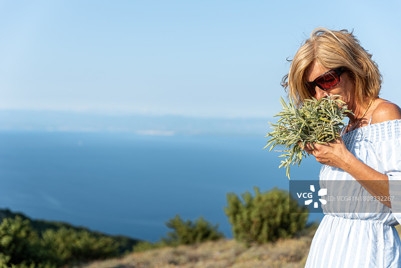 在克罗地亚克雷斯岛地中海沿岸山丘上采摘野生鼠尾草的度假女人图片素材