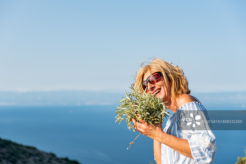 在克罗地亚克雷斯岛地中海沿岸山丘上采摘野生鼠尾草的度假女人图片素材