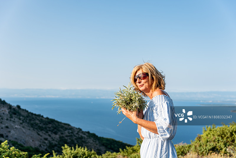 在克罗地亚克雷斯岛地中海沿岸山丘上采摘野生鼠尾草的度假女人图片素材