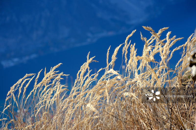 高耸的悬崖草地图片素材