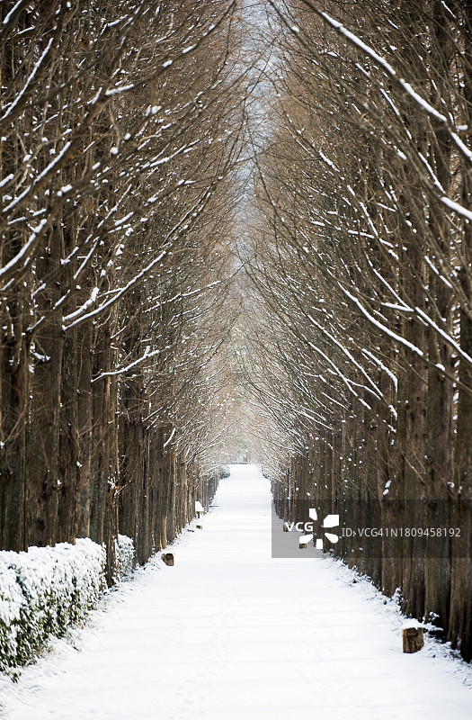 全罗南道罗州市全南森林资源研究所图片素材