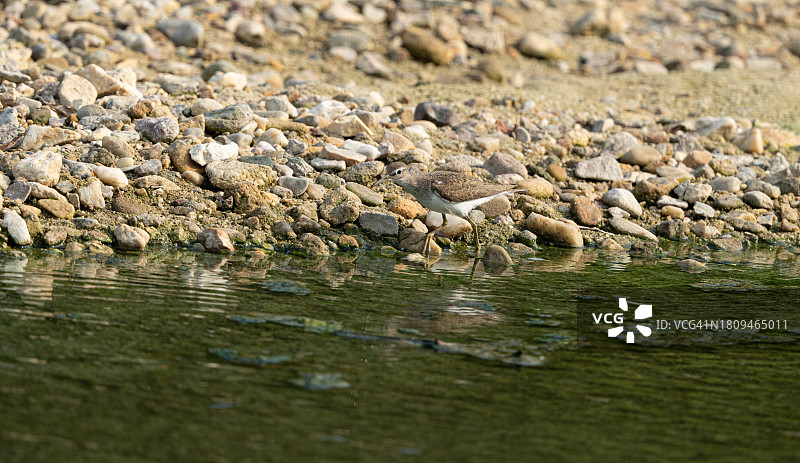 卡贾克图片素材