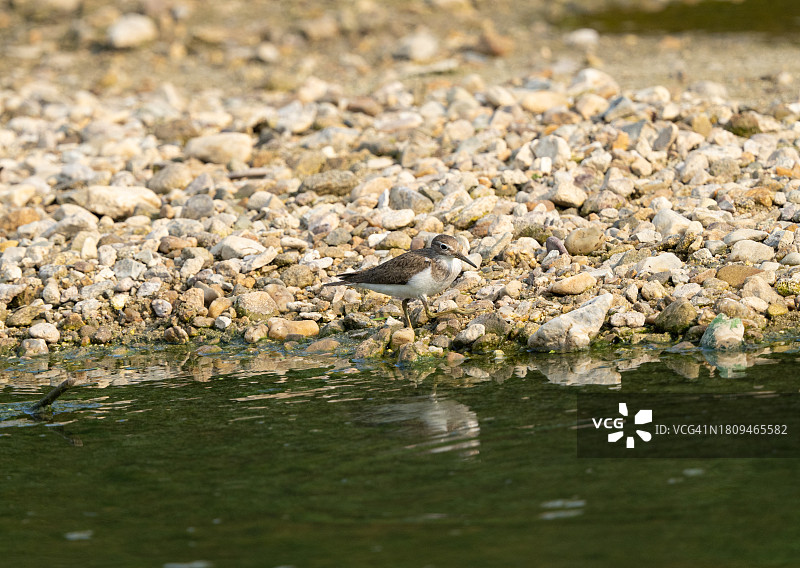 卡贾克图片素材