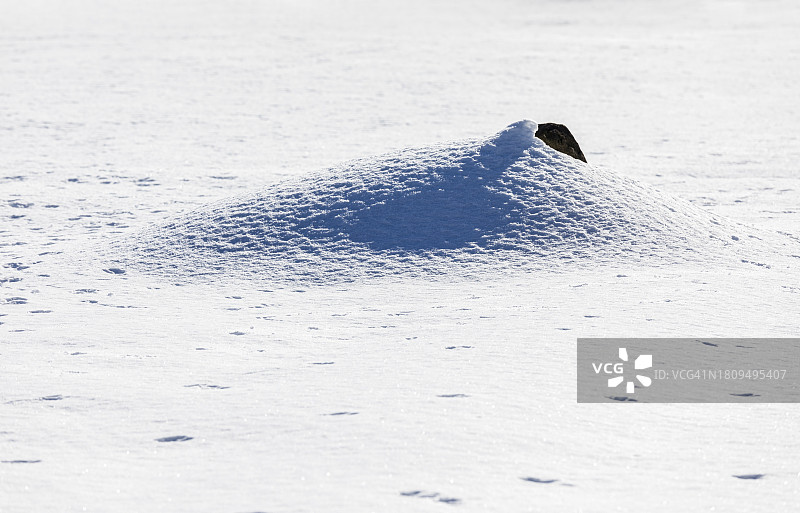 北海道学习中心形状图片素材