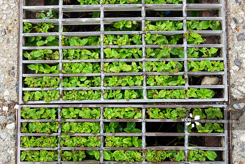 疏通雨水井图片素材
