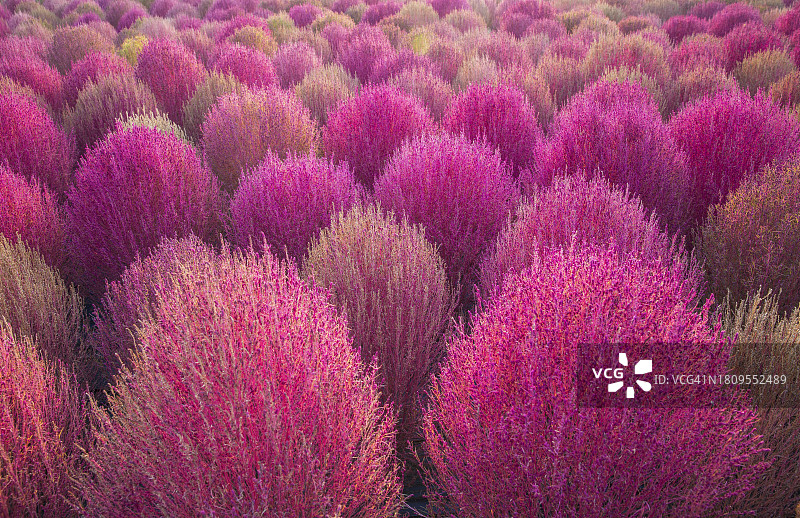 秋季天空公园图片素材