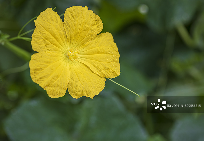 杨州市Nari公园洗涤塔图片素材