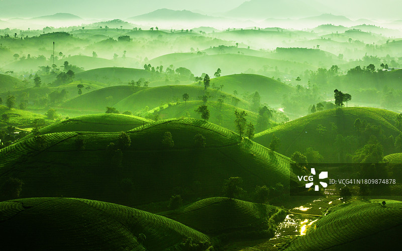 蓝天映衬下的农田美景图片素材