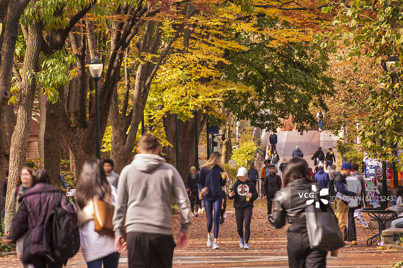 大学校园和学生人群图片素材