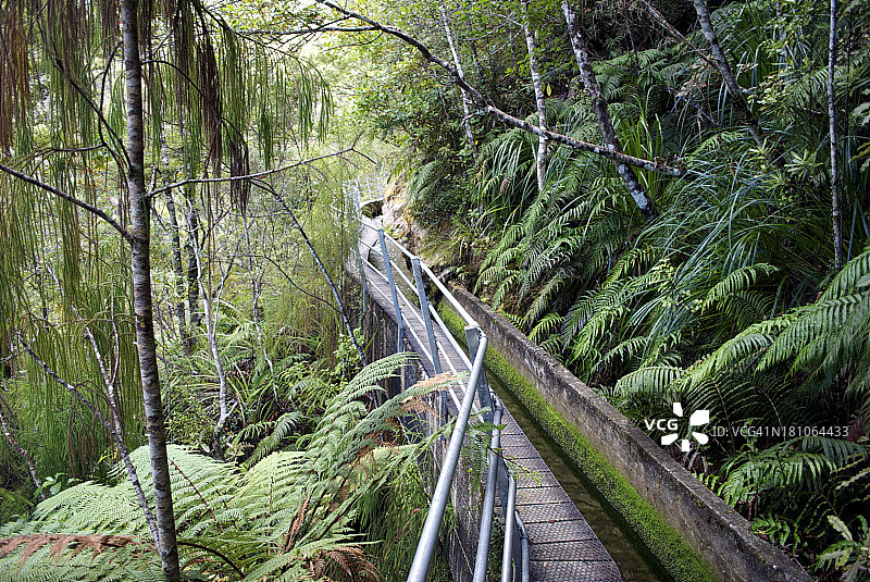 普普水力步道，金色海湾图片素材