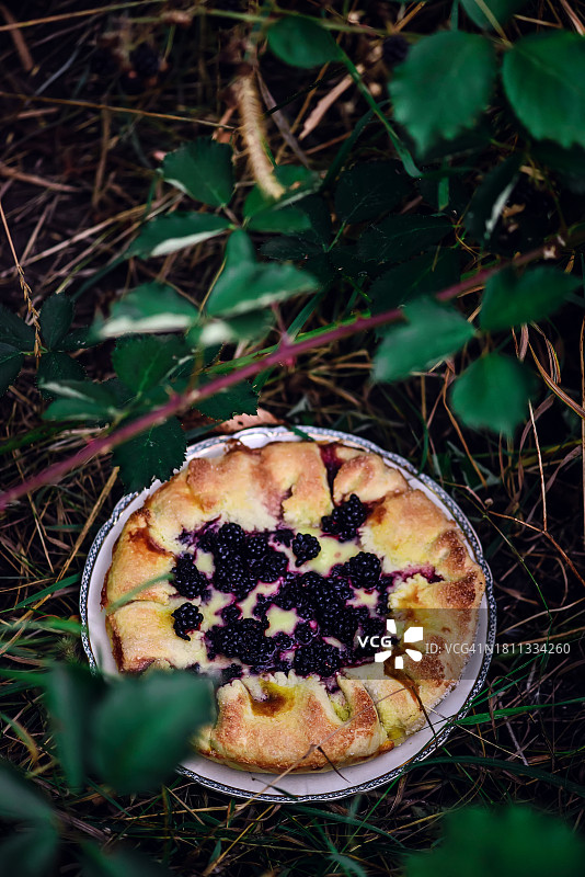 黑莓芝士蛋糕图片素材