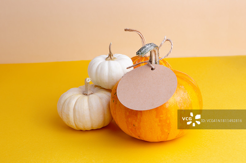 一组带有空白标签的南瓜。感恩节或秋季促销概念图片素材