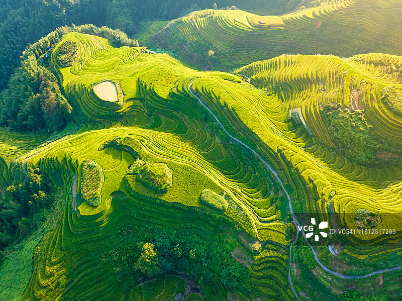 航拍中国广西龙脊梯田日出景观图片素材