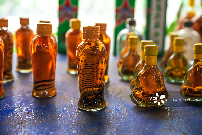 泡有蛇的酒瓶图片素材