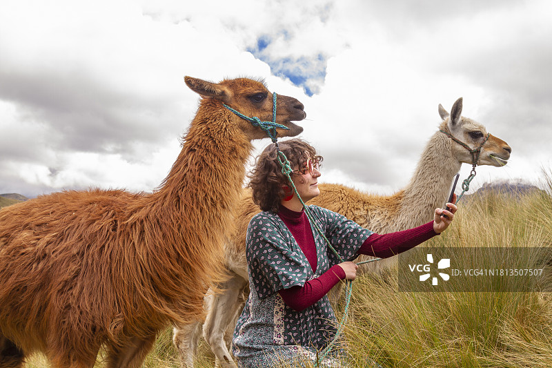 年轻女性独自旅行者在钦博拉索火山顶峰与两只美洲驼自拍，使用5G技术图片素材