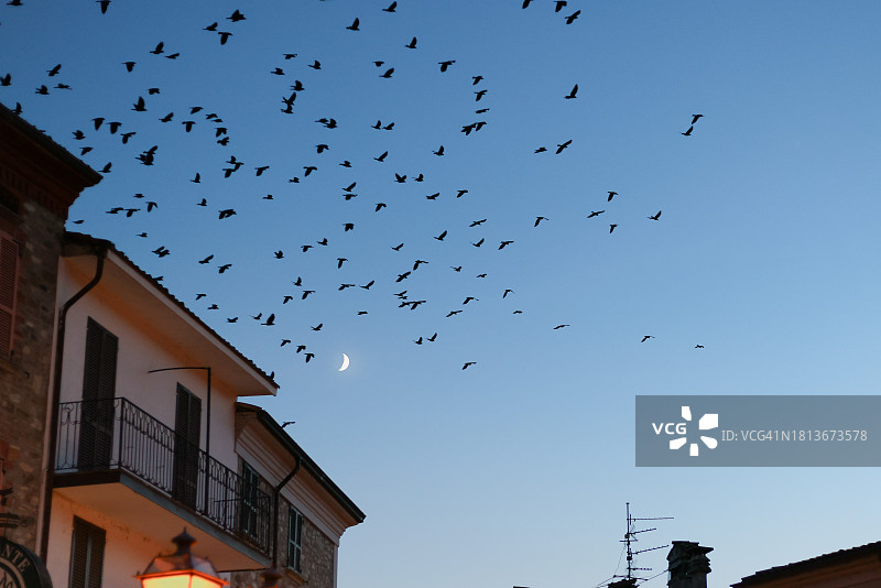 飞越古城的鸟群图片素材