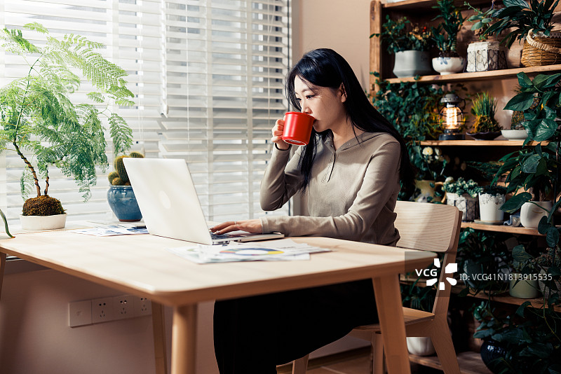 中国年轻女人居家工作图片素材