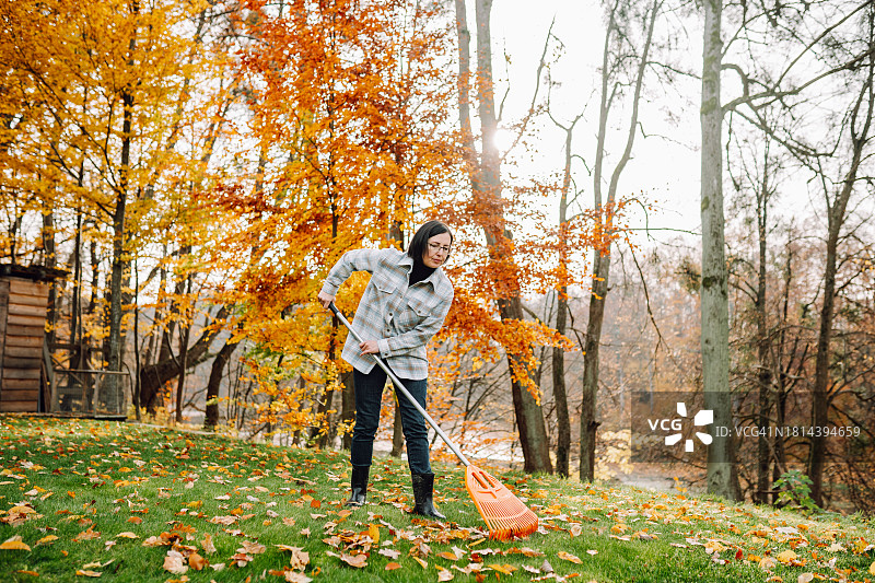 落叶合集。院子里耙秋叶图片素材