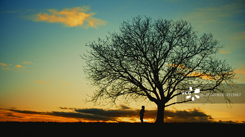 日落时分，孕妇站在光秃秃的树旁，双手抚摸着肚子图片素材