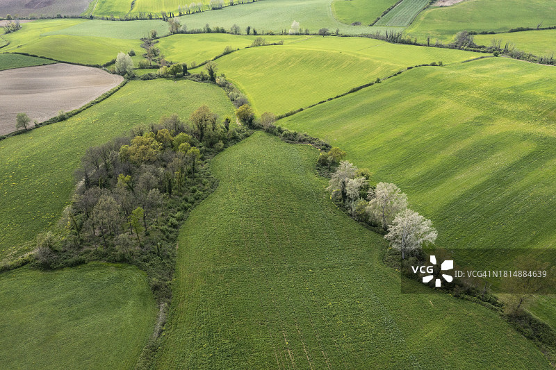 耕地鸟瞰图图片素材