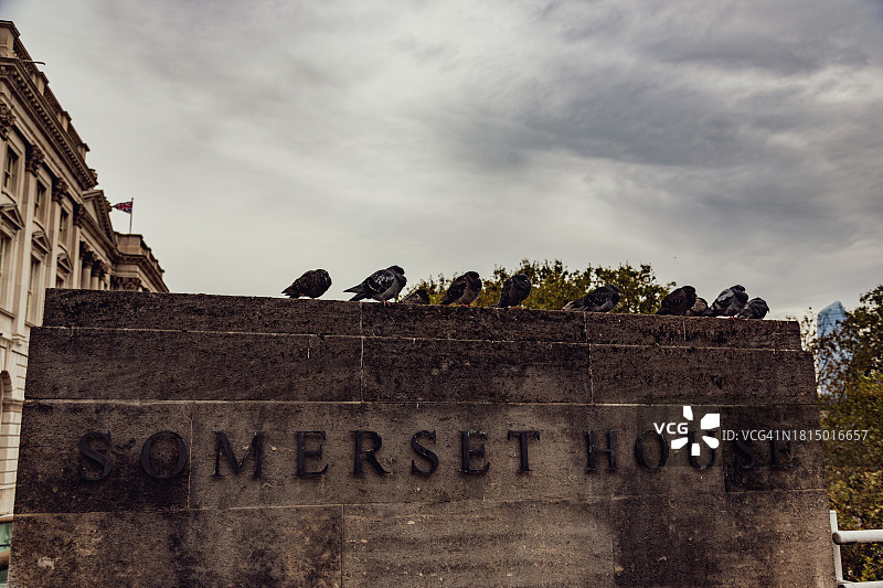 萨默塞特府与鸽子图片素材